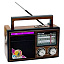 Радиоприемник GOLON RX-1137D 5W