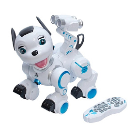 Робот-собака Новый ДРУЖОК (алфавит,песни,сказки,свет,звук,лай) ZYB-B2856N-1(УЦЕНКА)после ремонта